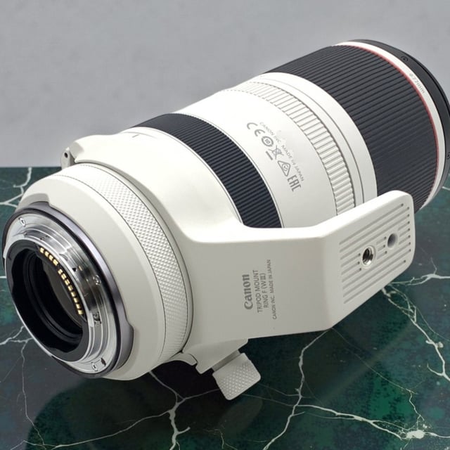 RF 100-500mm F4.5-7.1 L IS USM