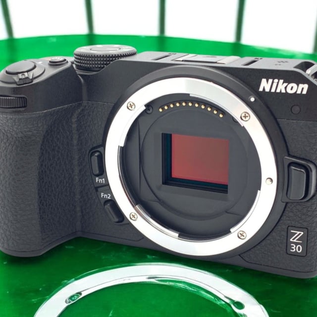 Z30 ボディ