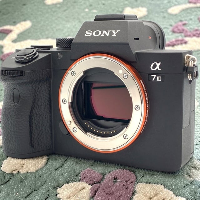 α7 III ILCE-7M3 ボディ