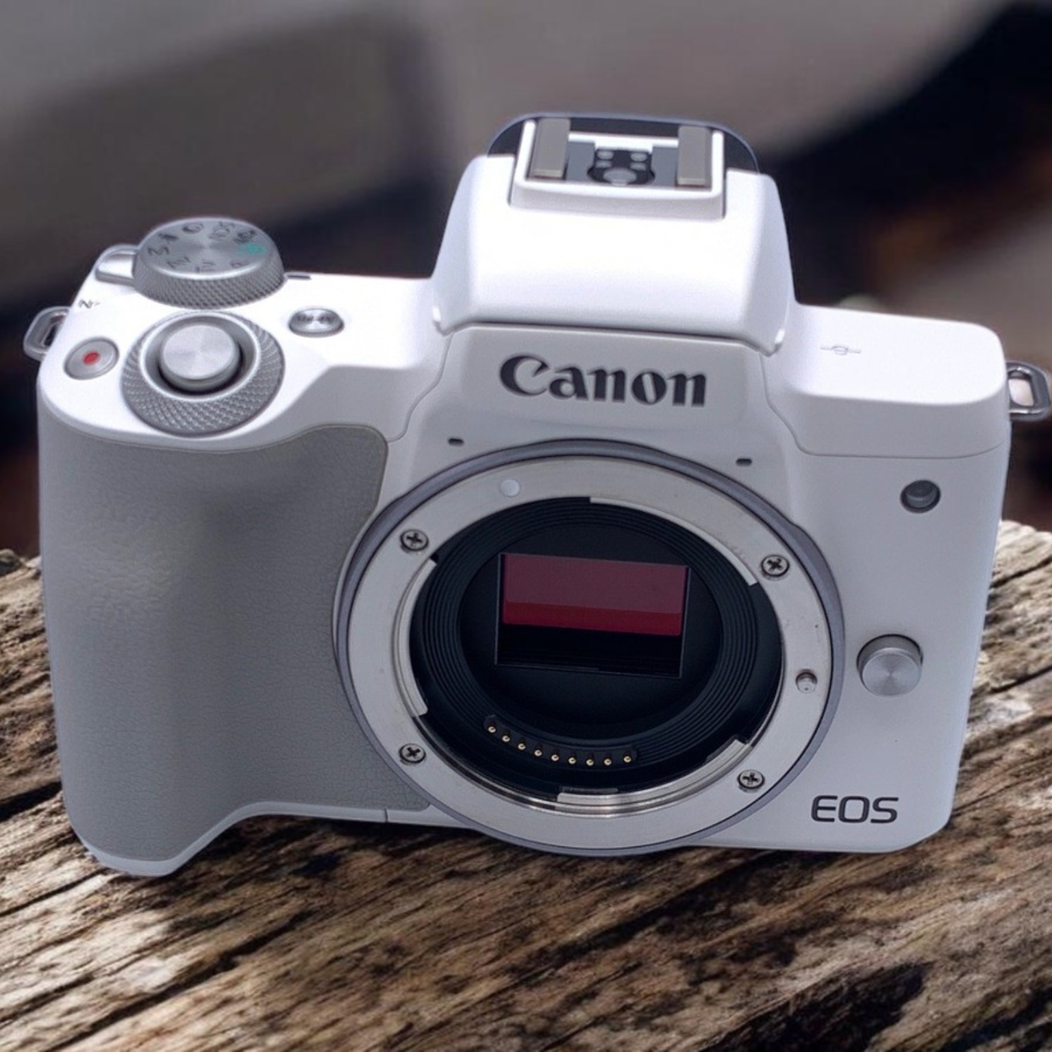 Canon EOS Kiss M2 ボディ 