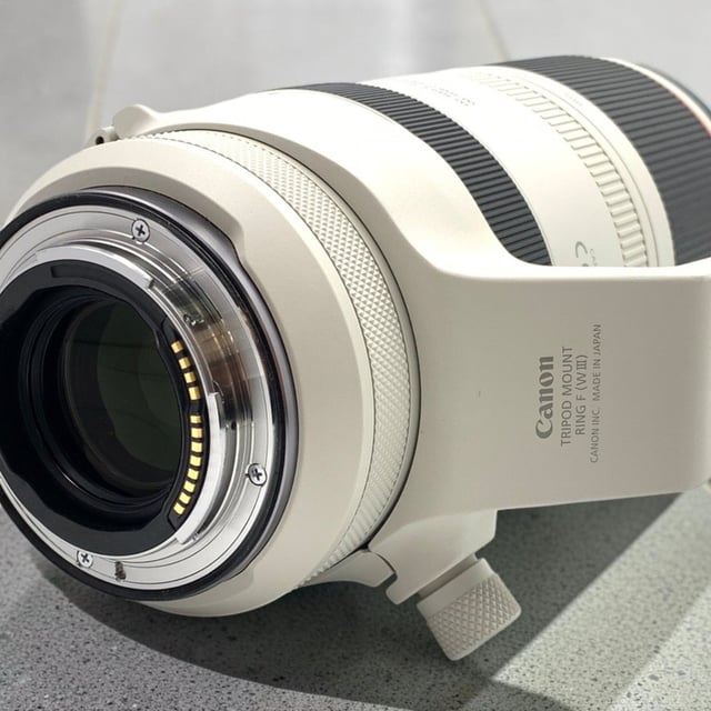 RF 100-500mm F4.5-7.1 L IS USM