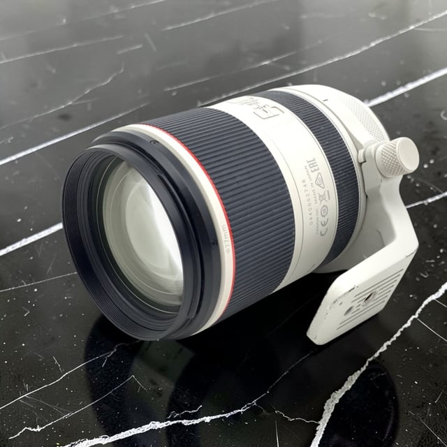 RF 70-200mm F2.8 L IS USM