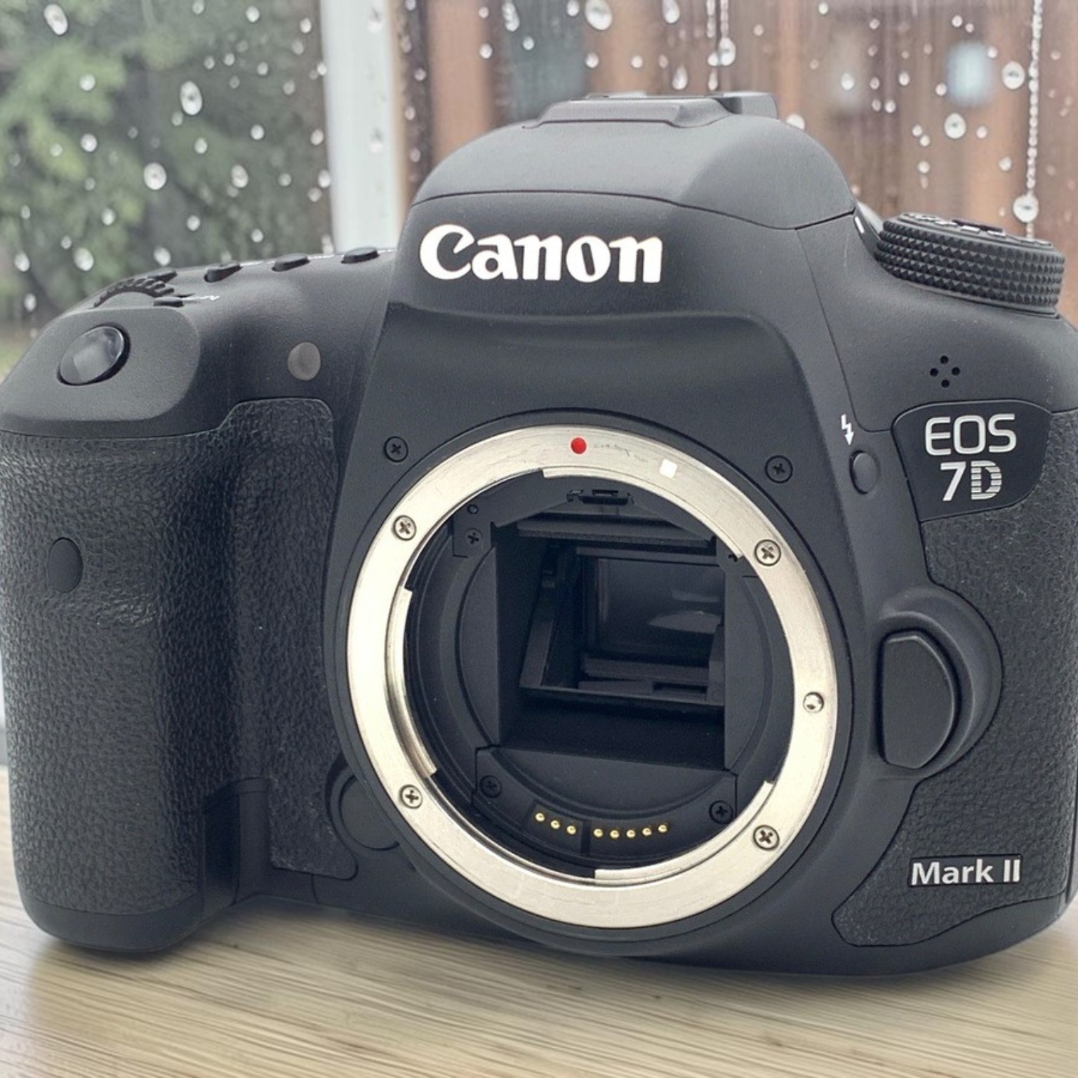 Canon EOS 9000D ボディの新品/中古の在庫一覧 | みんなのカメラ