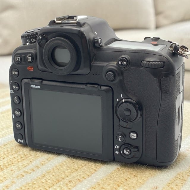 D500 ボディ