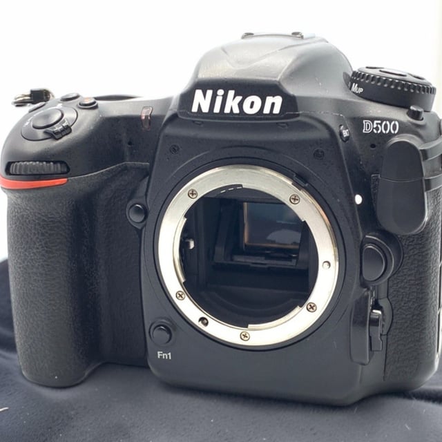 D500 ボディ