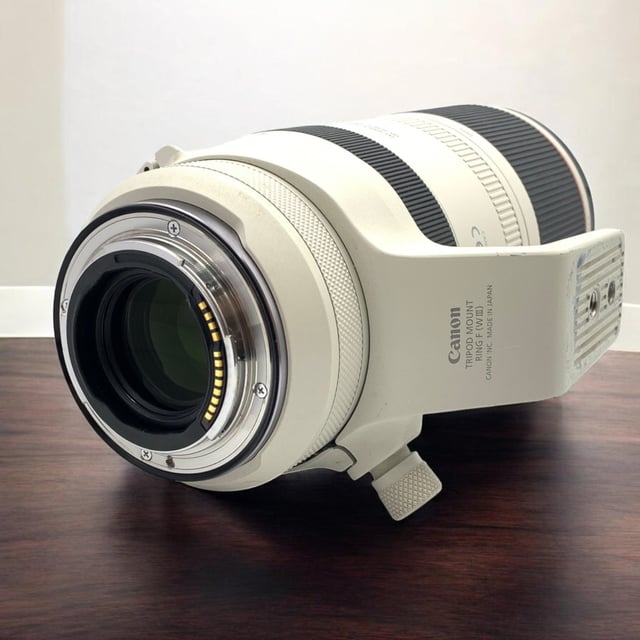 RF 100-500mm F4.5-7.1 L IS USM