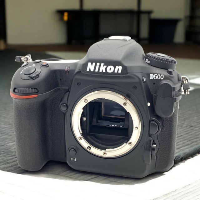 D500 ボディ