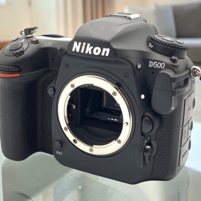 D500 ボディ