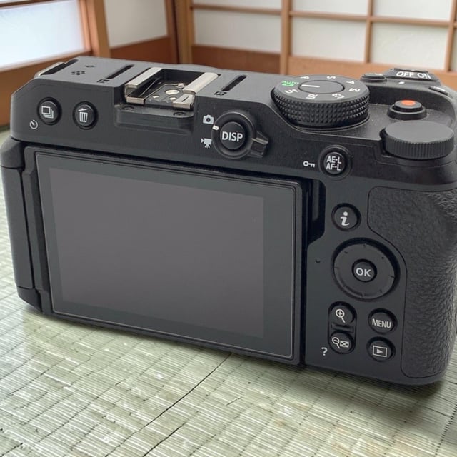 Z30 ボディ