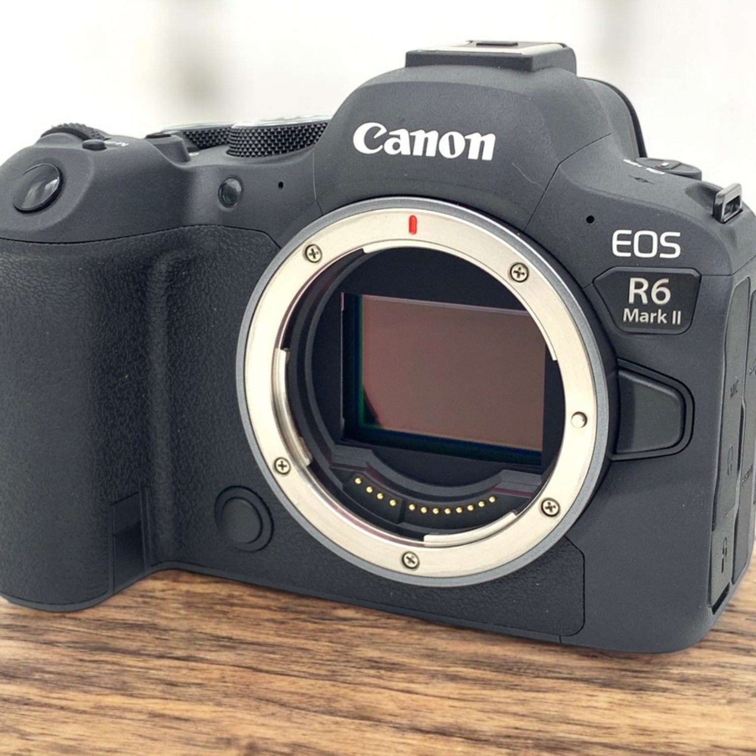 EOS R6 Mark II ボディの中古カメラを買うならみんなのカメラ A-l6Y_lhq58I