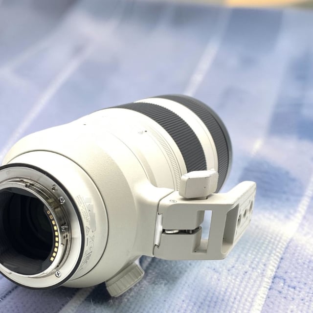 FE 100-400mm F4.5-5.6 GM OSS SEL100400GM