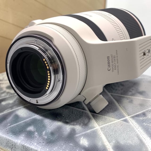 RF 100-500mm F4.5-7.1 L IS USM