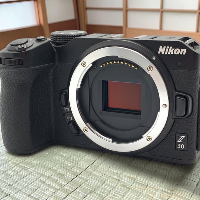Z30 ボディ
