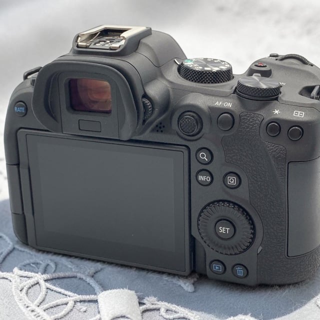 EOS R6 Mark II ボディ
