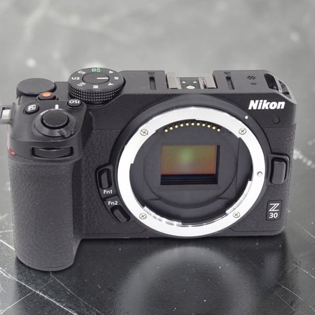 Z30 ボディ