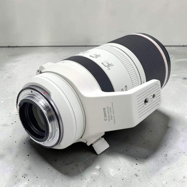 RF 100-500mm F4.5-7.1 L IS USM