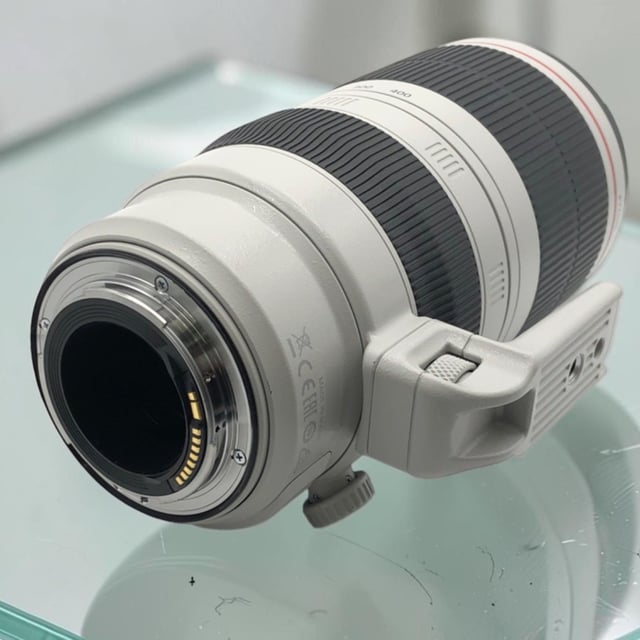 EF 100-400mm F4.5-5.6L IS II USM