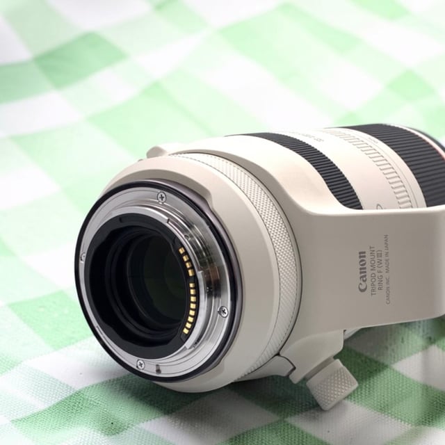 RF 100-500mm F4.5-7.1 L IS USM