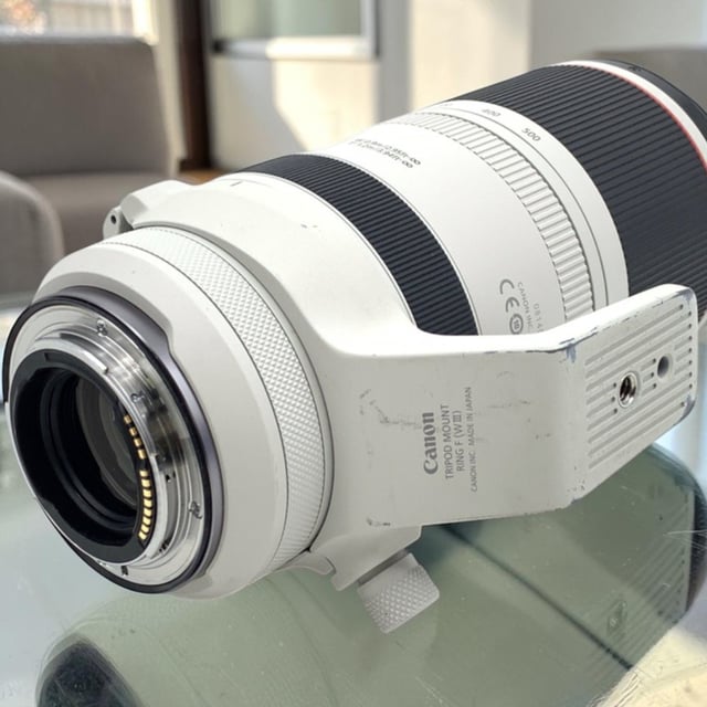 RF 100-500mm F4.5-7.1 L IS USM
