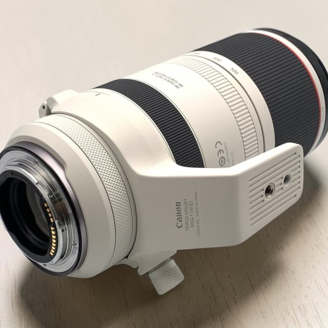 RF 100-500mm F4.5-7.1 L IS USM