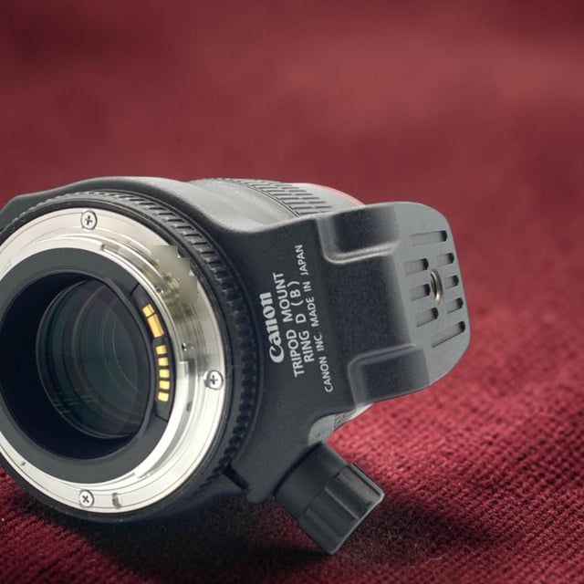 EF 100mm F2.8L マクロ IS USM