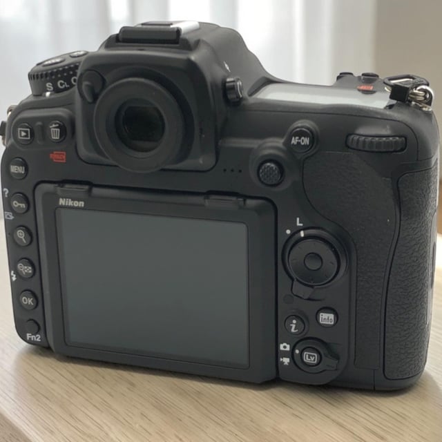 D500 ボディ