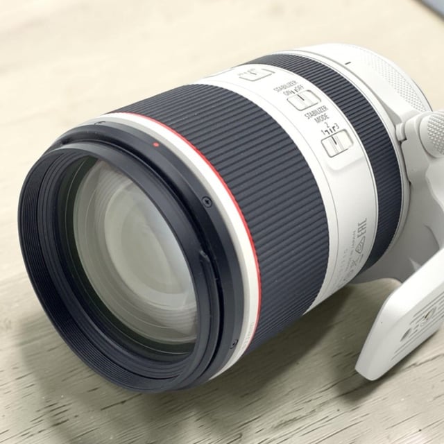 RF 70-200mm F2.8 L IS USM