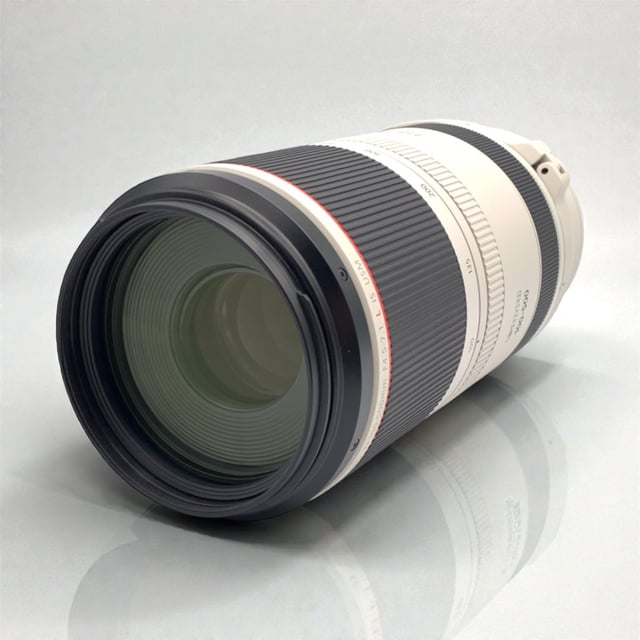 RF 100-500mm F4.5-7.1 L IS USM