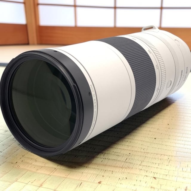 RF 200-800mm F6.3-9 IS USM
