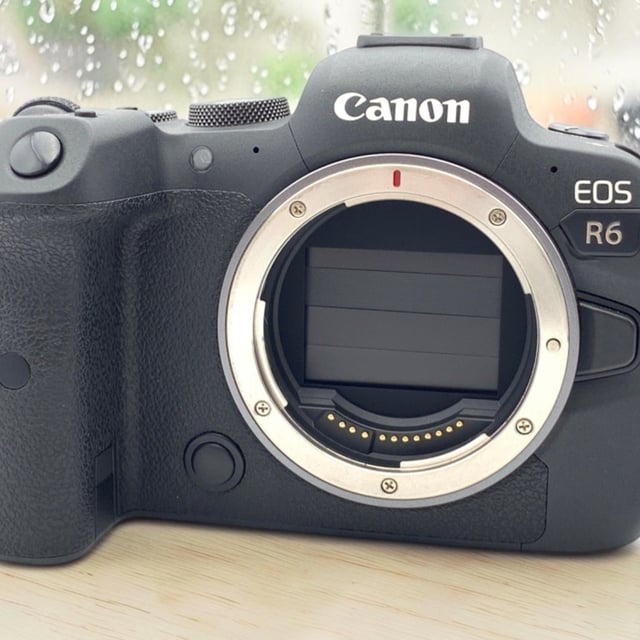 EOS R6 Mark II ボディ