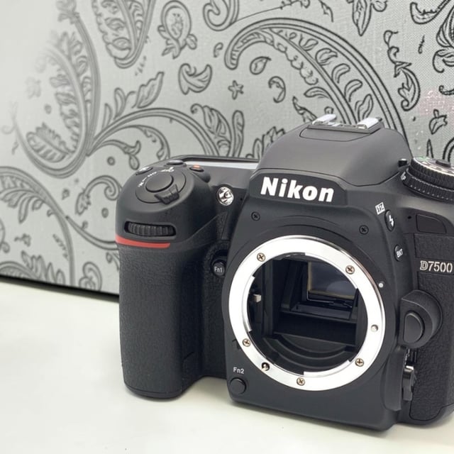 D7500 ボディ