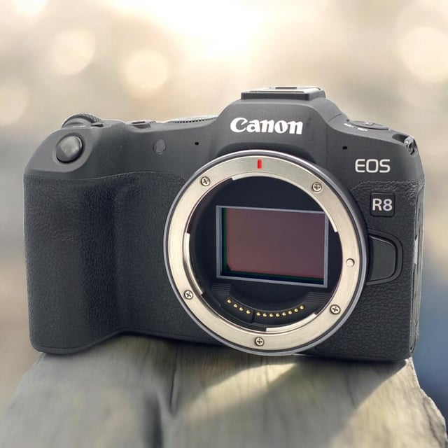 EOS R8 ボディ