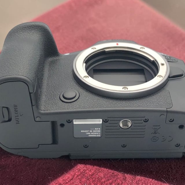 EOS R6 Mark II ボディ