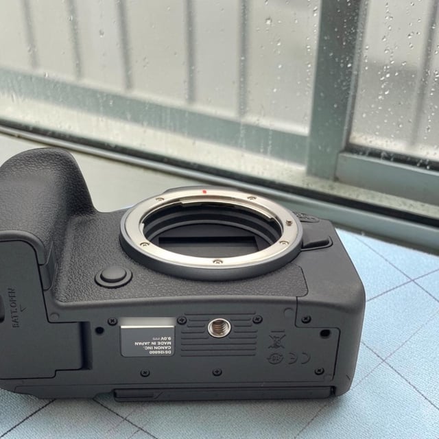 EOS R6 Mark II ボディ