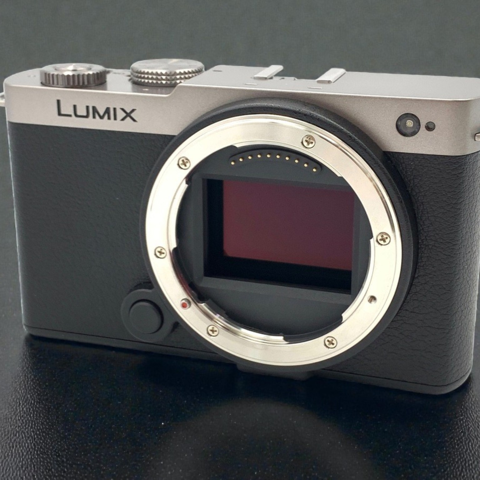 パナソニック LUMIX S9(DC-S9) ボディ 