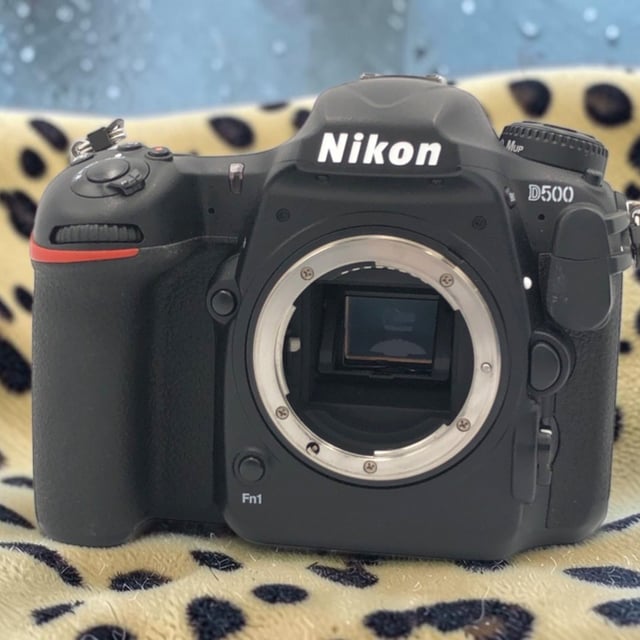 D500 ボディ