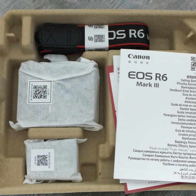 EOS R6 Mark III ボディ