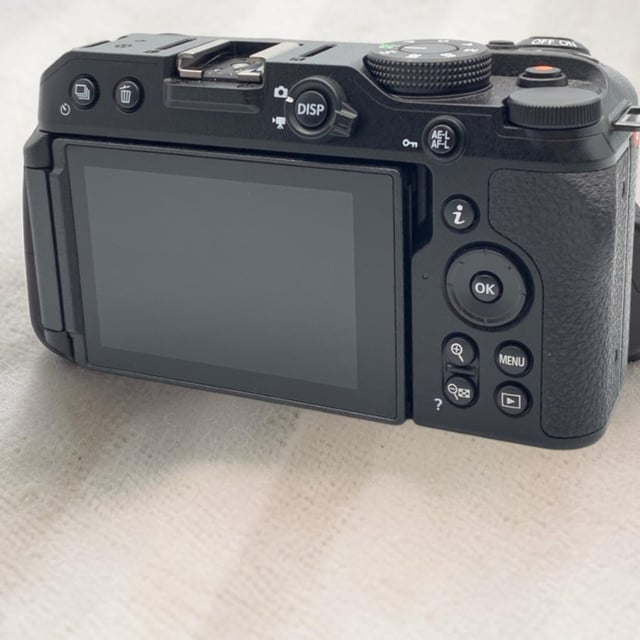 Z30 ボディ