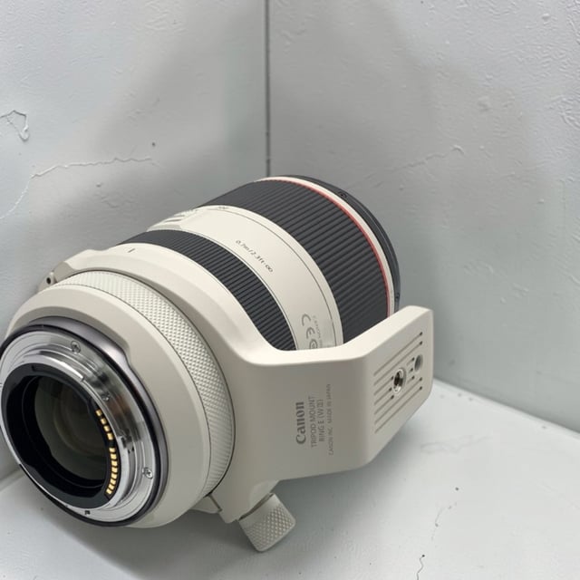 RF 70-200mm F2.8 L IS USM