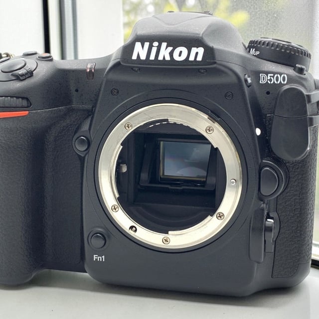 D500 ボディ