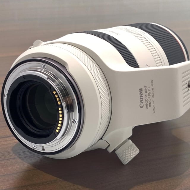 RF 100-500mm F4.5-7.1 L IS USM