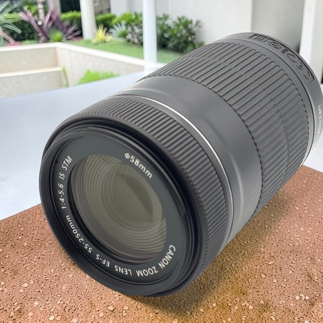 EF-S55-250mm F4-5.6 IS STM