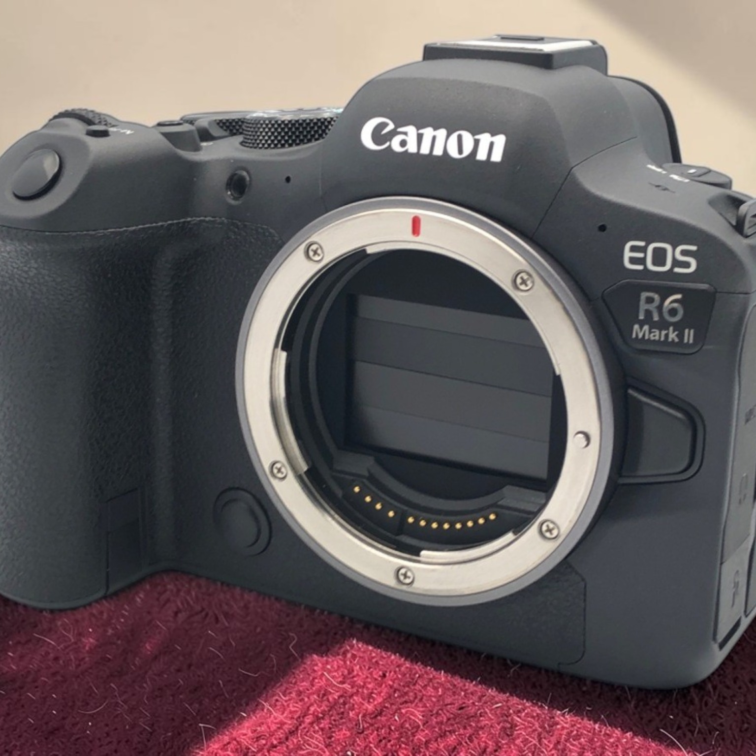 Canon EOS R6 Mark II ボディの新品/中古の在庫一覧 | みんなのカメラ