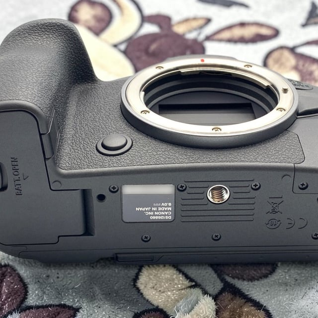 EOS R6 Mark II ボディ
