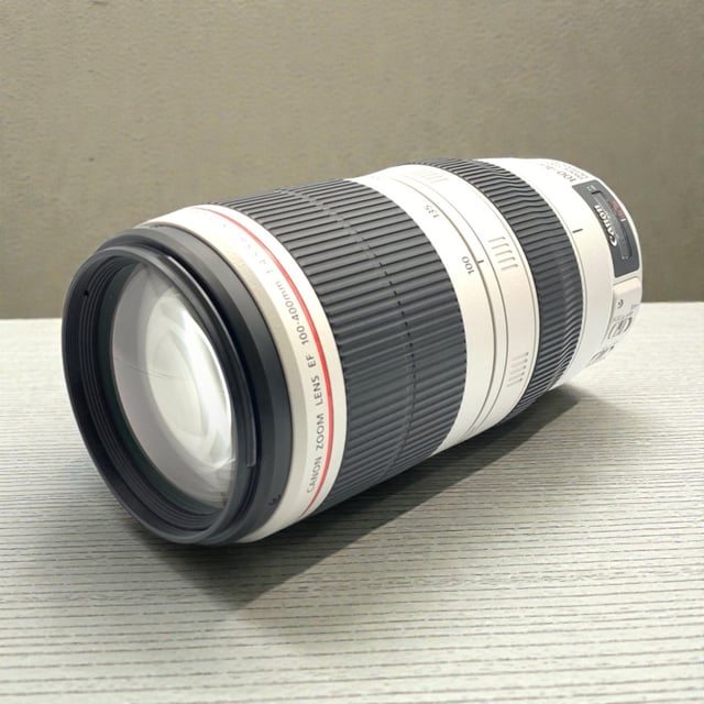 EF 100-400mm F4.5-5.6L IS II USM