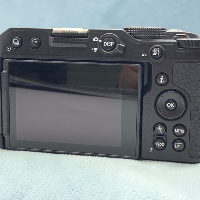 Z30 ボディ