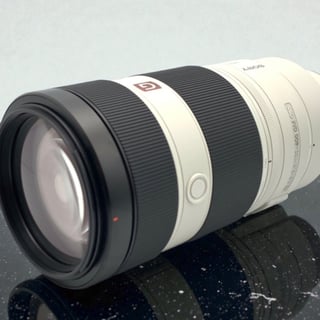 FE 100-400mm F4.5-5.6 GM OSS SEL100400GM