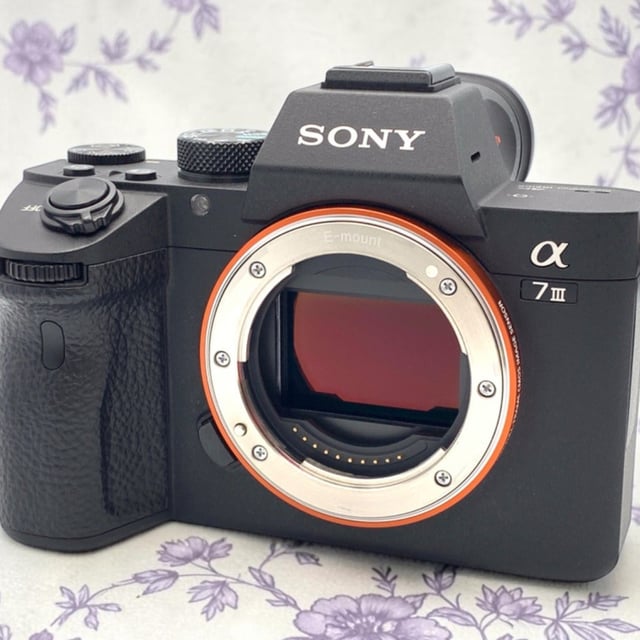 α7 III ILCE-7M3 ボディ