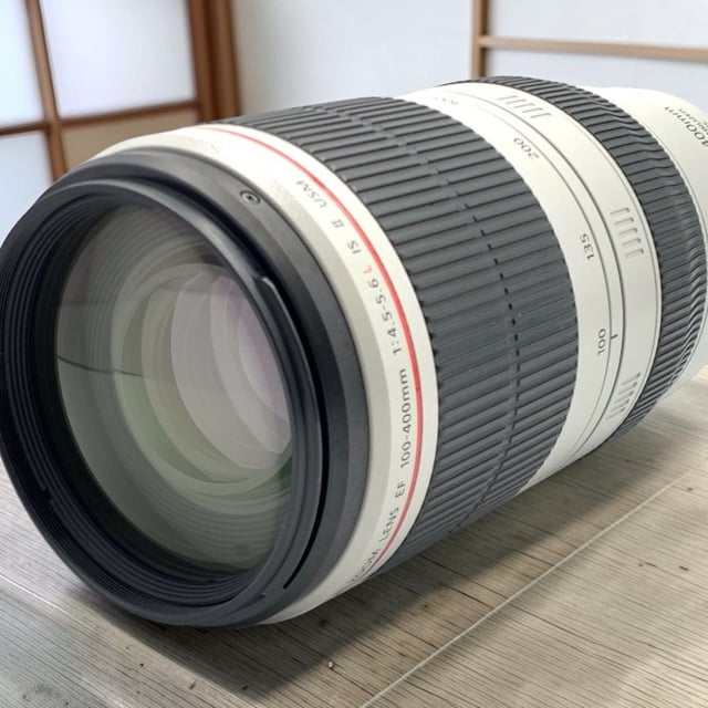 EF 100-400mm F4.5-5.6L IS II USM