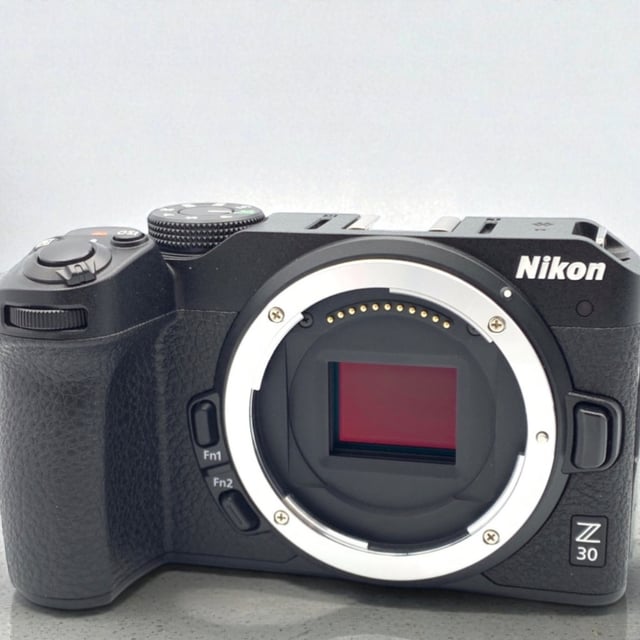 Z30 ボディ